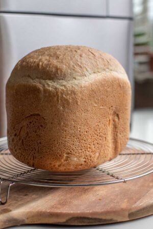 A loaf of fresh bread machine bread on a rack, cooling.