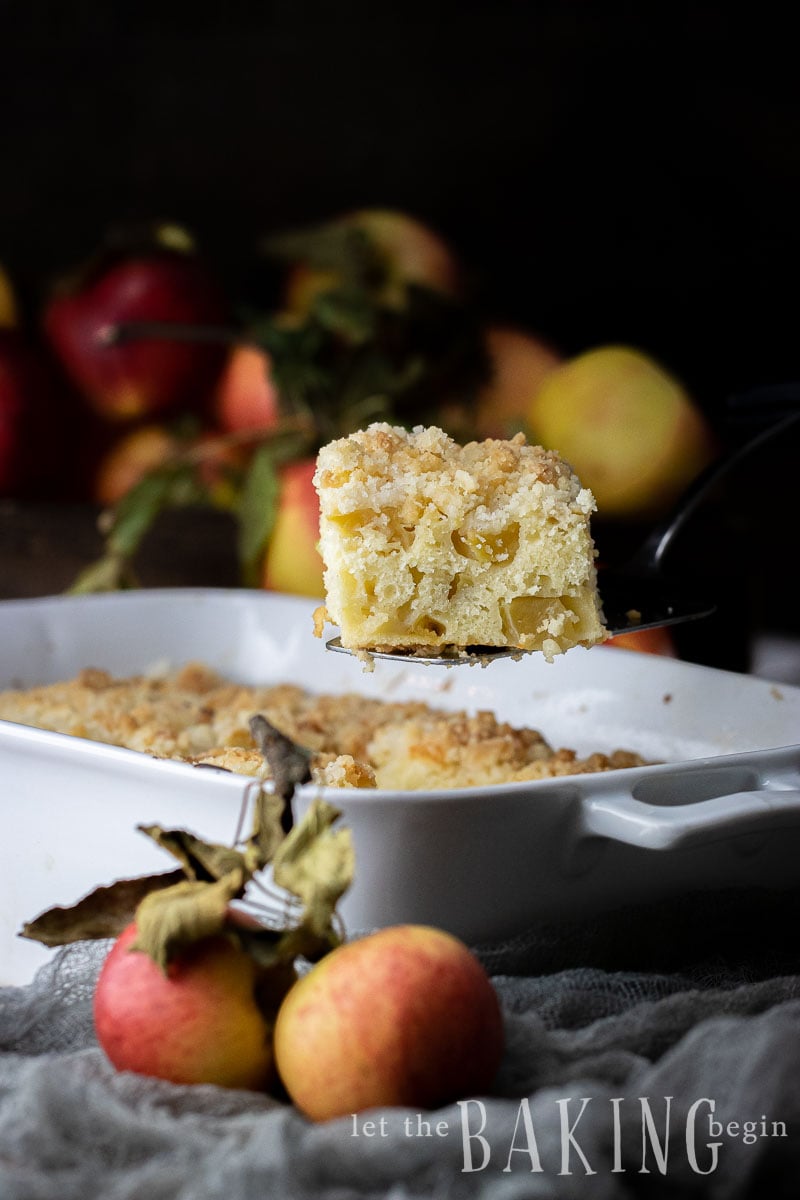 Apple Coffee Cake Recipe with Streusel Topping Let the Baking Begin!