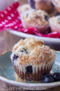 My family absolutely loved the moistness and tenderness of these Blueberry Muffins! You should try them for your self!