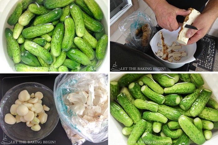 How to combine horseradish and garlic into bucket of pickles.