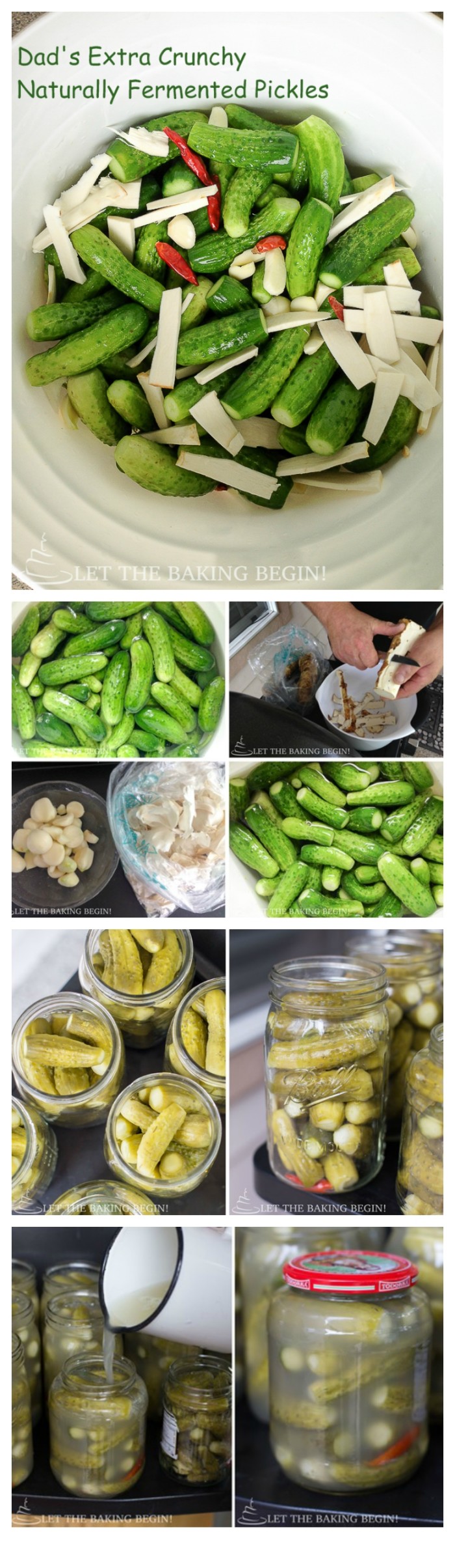 Dad's Extra Crunchy Naturally Fermented Pickles - the recipe my family has been using for decades using simple, natural ingredients that will give you that authentic perfectly fermented crunchy pickle.