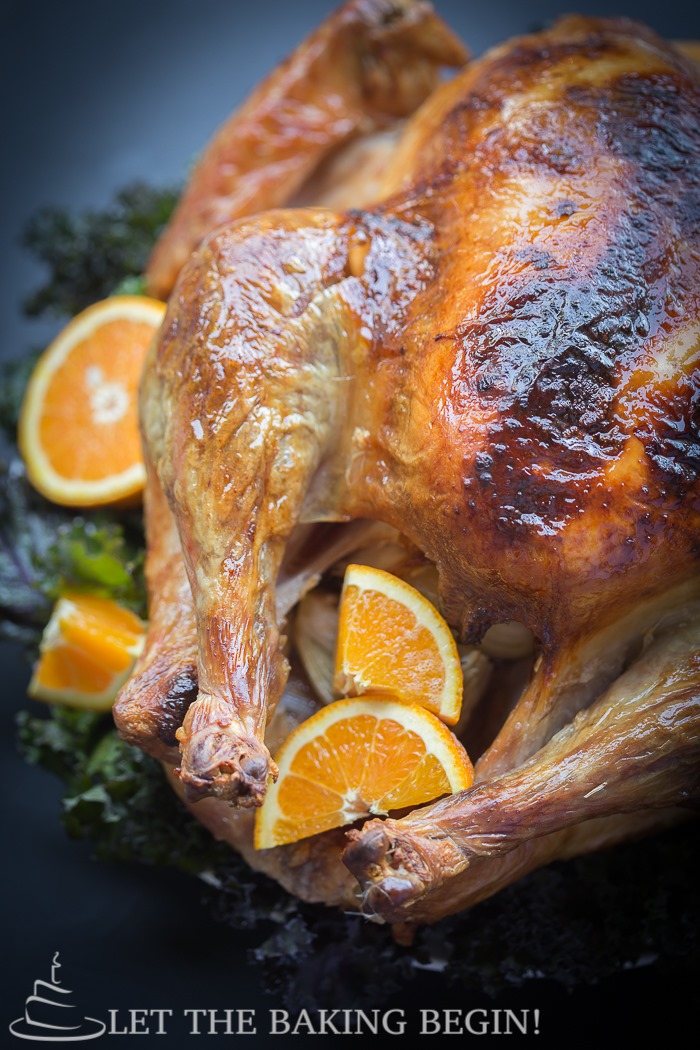Thanksgiving Roasted Turkey Recipe (Brine Method) + 18 Tips for Success
