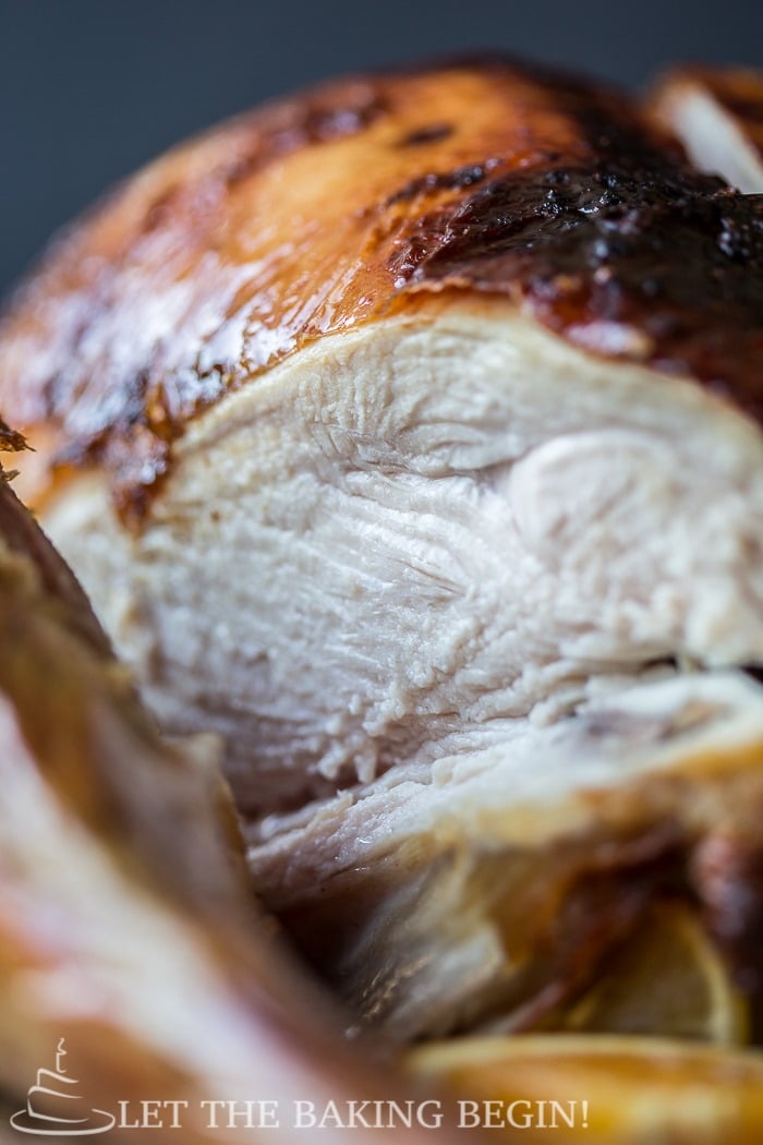 Thanksgiving Roasted Turkey Recipe (Brine Method) + 18 Tips for Success