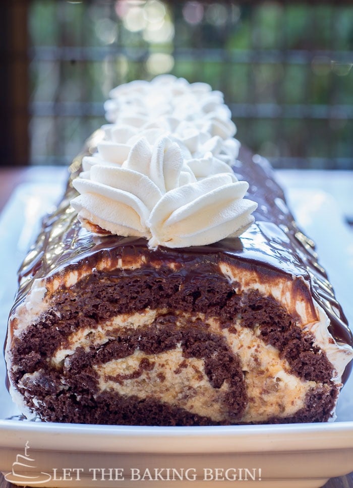 Chocolate roll with walnuts topped with chocolate and chantilly cream.