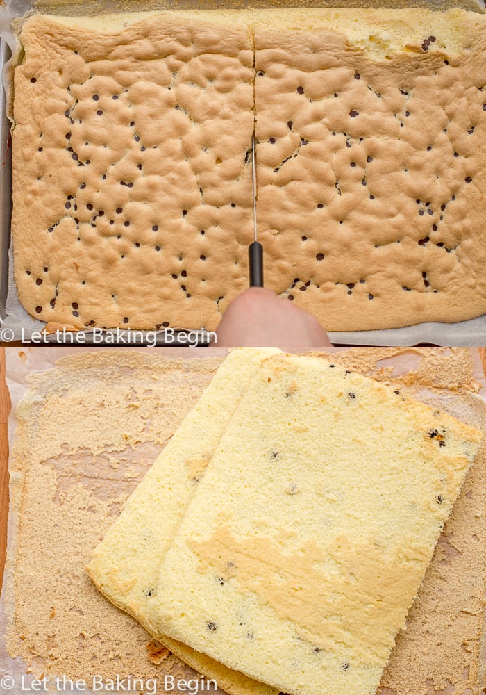 How to cut the baked sponge cake with chocolate chips.