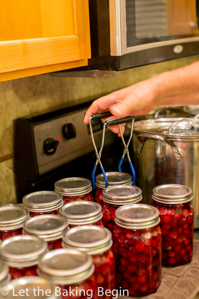 Mason jars filled with cherries lined up on the counter top.