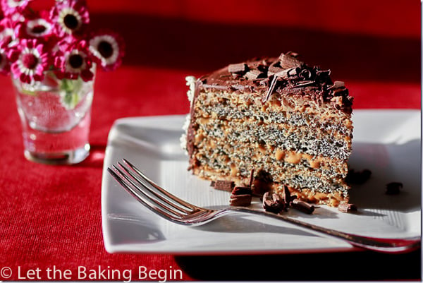 slice of poppy seed cake topped with chocolate cravings on a white plate.