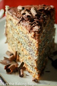 This Poppy Seed cake with Dulce de Leche Buttercream combines all the things I love in a cake, poppy seeds, walnuts, dulce de leche and chocolate | by Let the Baking Begin!