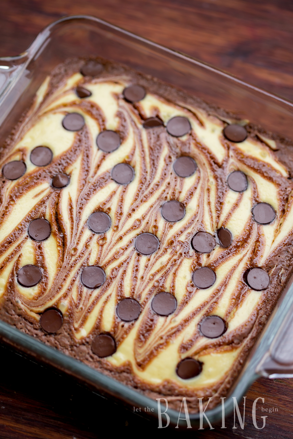 Cheesecake brownie in a baking sheet topped with chocolate chip morsels.