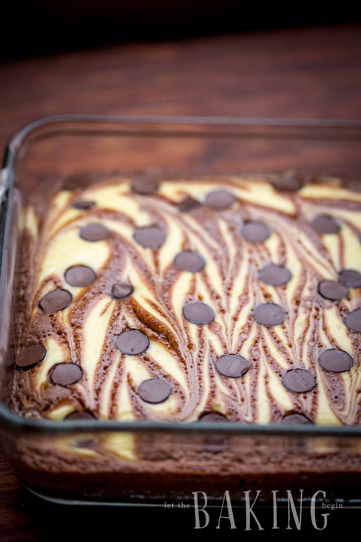 Cheesecake brownies in a baking dish topped with chocolate chips.
