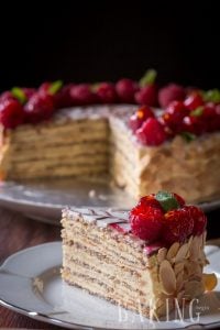 Esterhazy - Exceptional Hungarian cake made of Hazelnut Meringue and rich Custard Buttercream | By Let the Baking Begin!