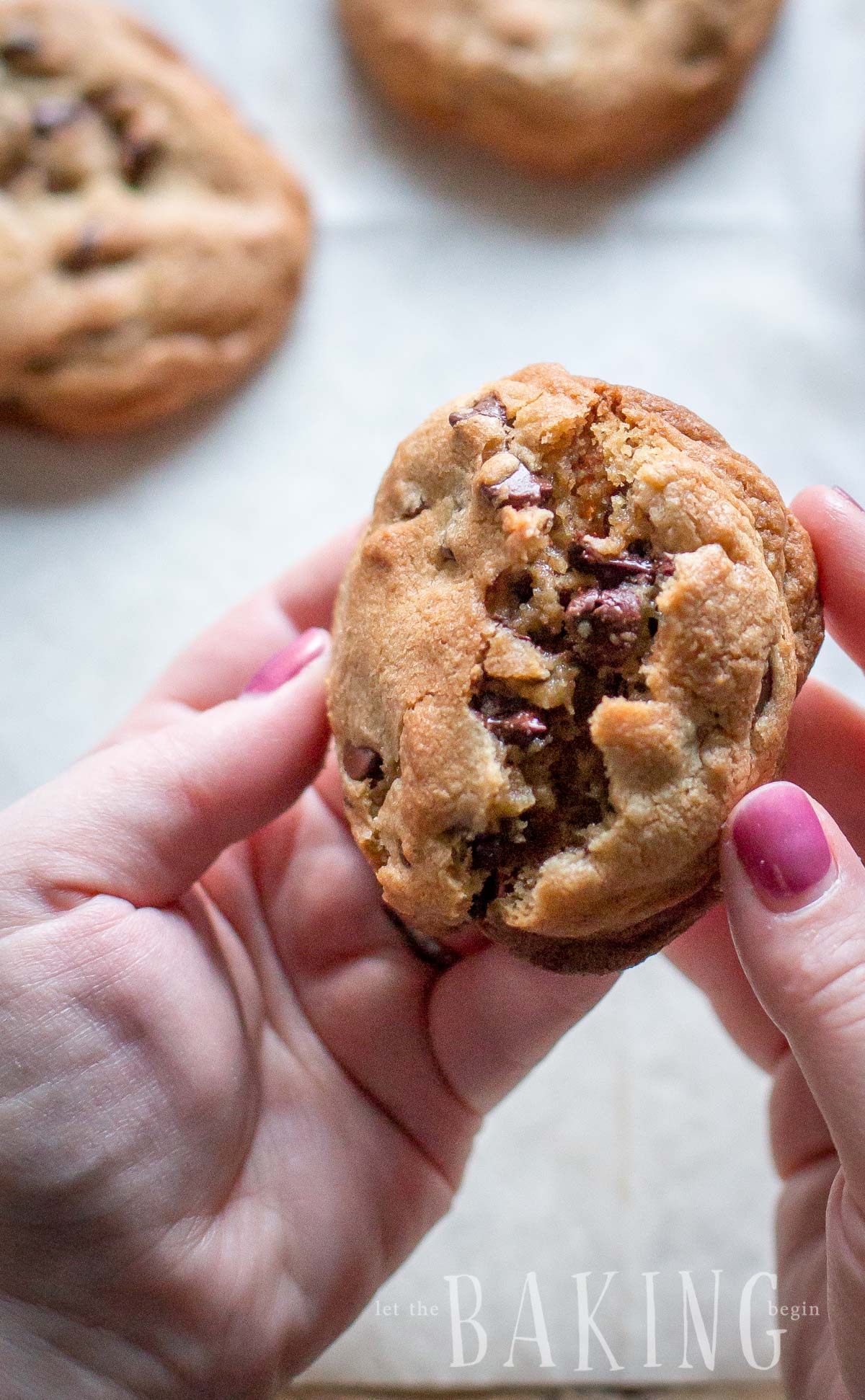 A soft chocolate chip cookie being ripped in half with chocolate chip morsels.