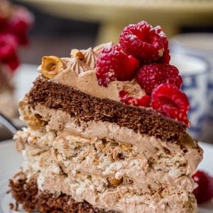 Hazelnut Meringue Nutella Cake - Layers Chocolate Poppyseed Cake, Hazelnut Meringue and Nutella Custard Buttercream will have your guests swoon from this deliciousness! Step by Step pictures are included for guaranteed success! | by Let the Baking Begin!