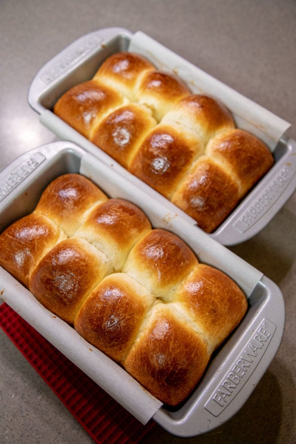 Brioche dough has lots of butter and eggs, which makes it rich an delicious. This yeast dough is perfect for sandwiches, toast and dinner rolls.