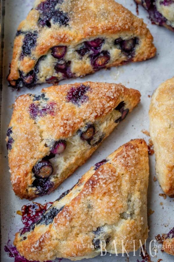 Blueberry Scones with sugar crust on a baking sheet.