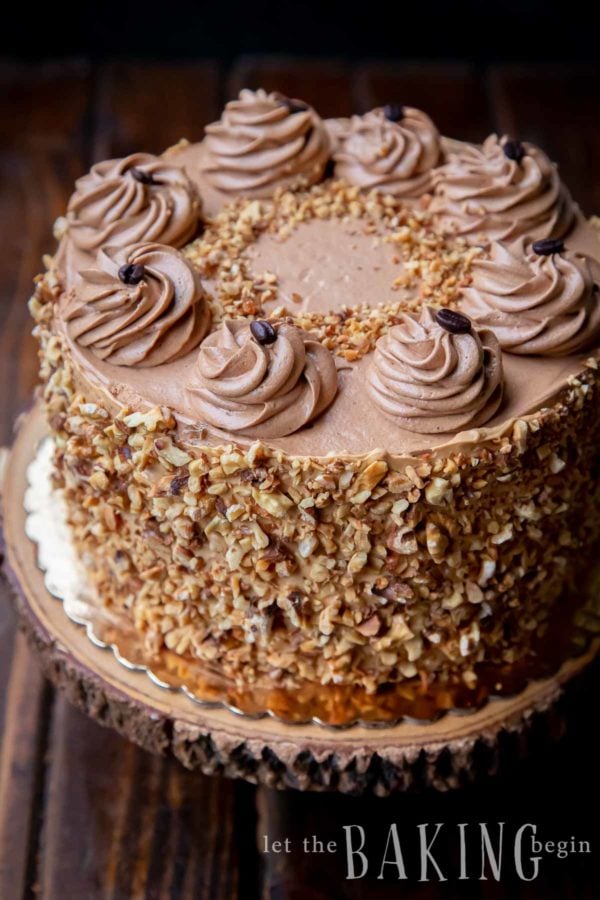 Walnut cake with a chocolate coffee icing piped on top. The sides of the cake are covered in chopped walnut pieces. 