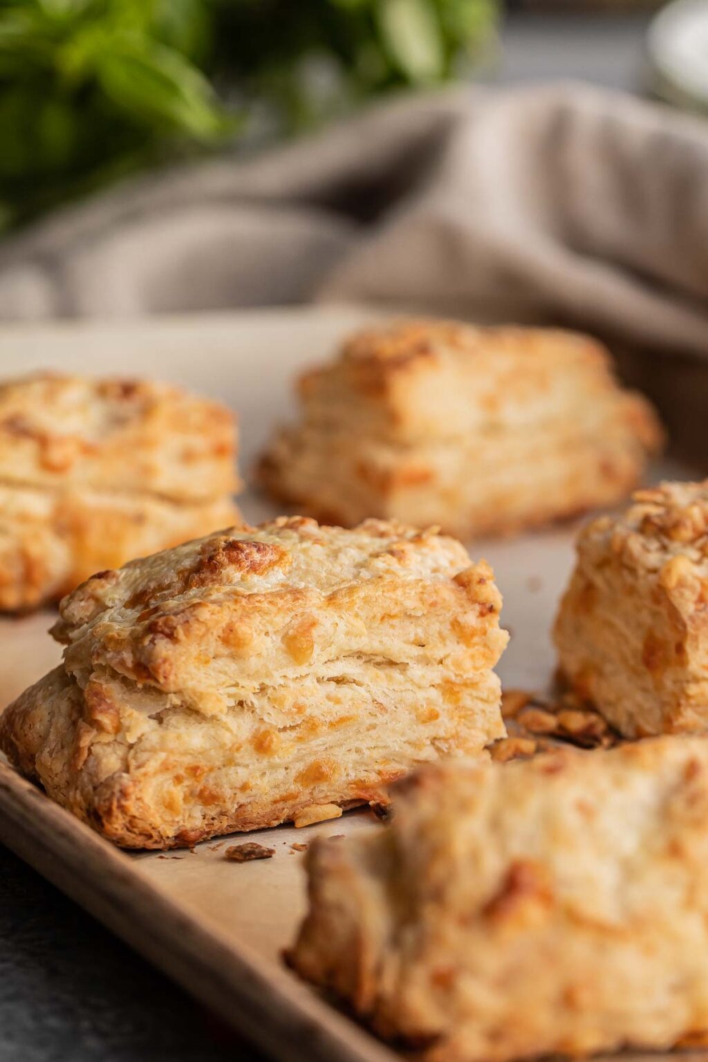 Cheddar Biscuits Recipe Let the Baking Begin!