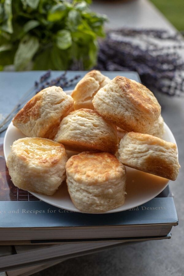 Buttermilk biscuits on a plate, on top of books with greens in the background.