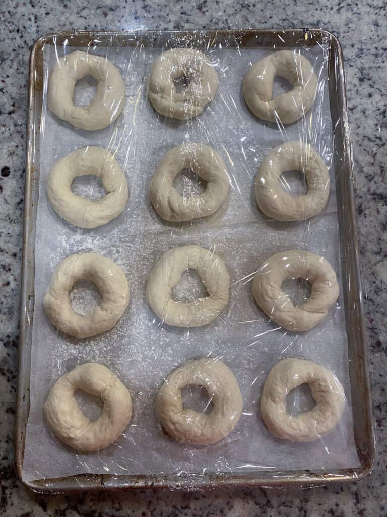 Shaped bagels dusted with flour after their overnight rest in the fridge.