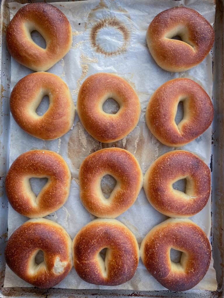 Twelve golden brown bagels cooling on the sheet pan straight from the oven.