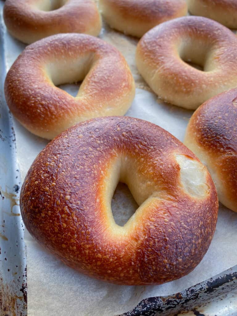 A glossy, deeply browned bagel crust on the front of the tray.