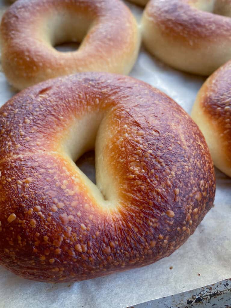 Close up of a homemade bagel with a deeply browned, blistered crust.