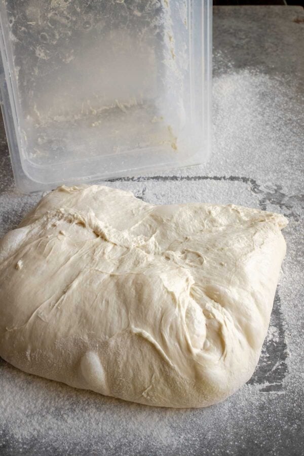 This image has an empty alt attribute; its file name is Artisan-Bread-Dough-1-600x900.jpg