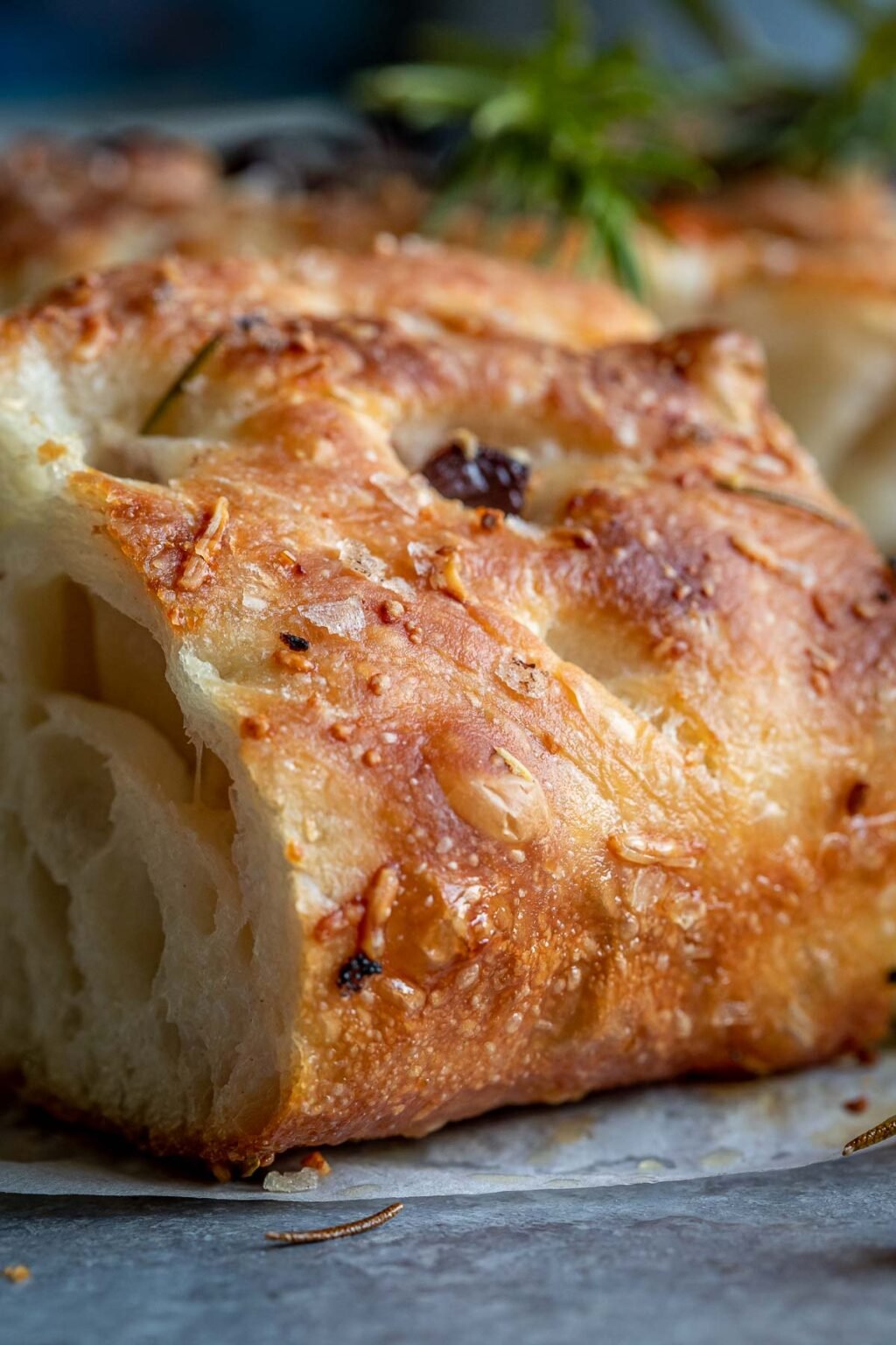 4 Ingredient Artisan Bread Dough Let the Baking Begin!