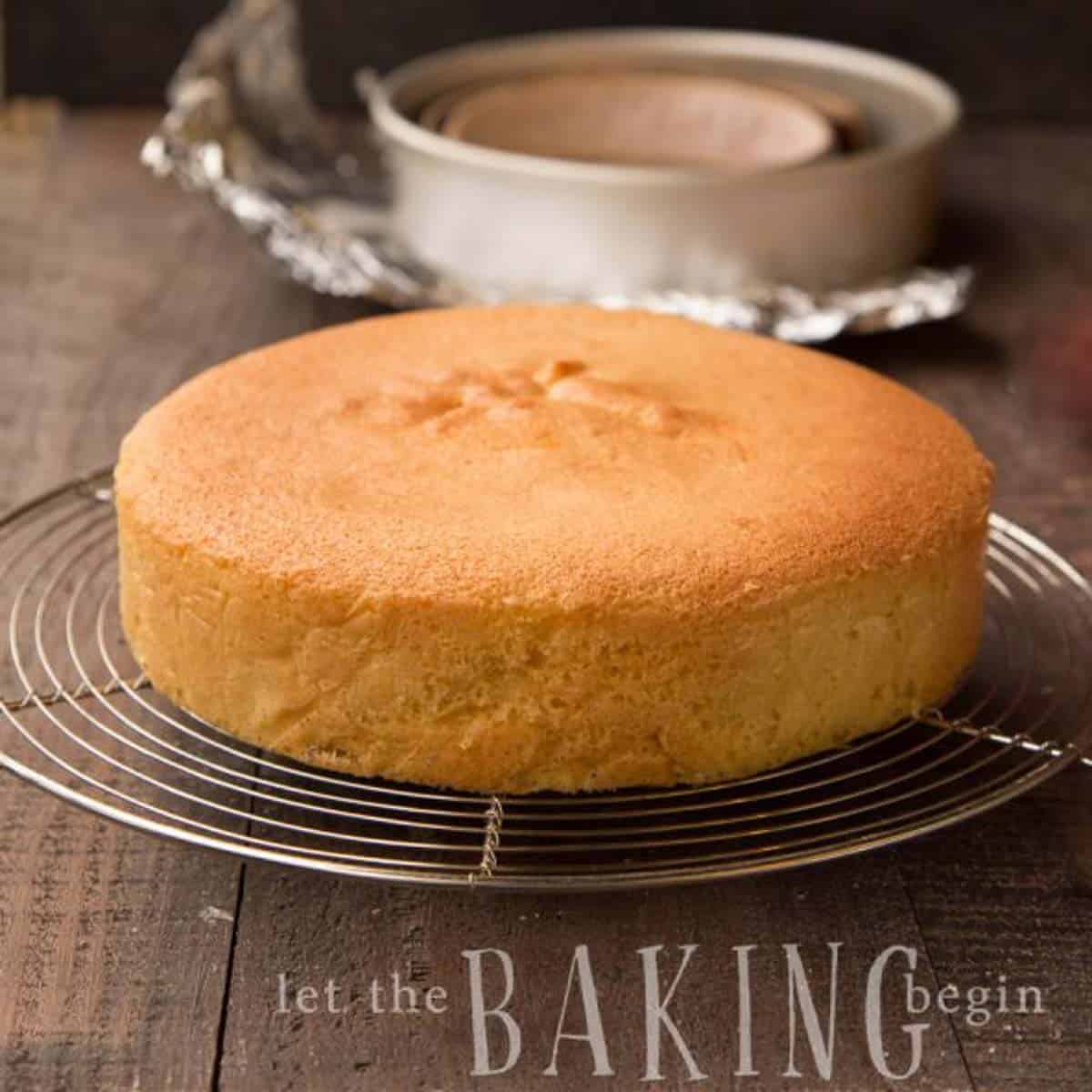 Simple Sponge Cake Recipe - Let the Baking Begin!
