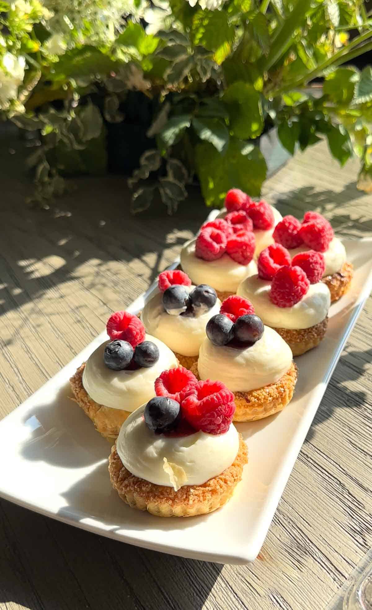 Raspberry Tarts on a plate with leafy green plant in the background.