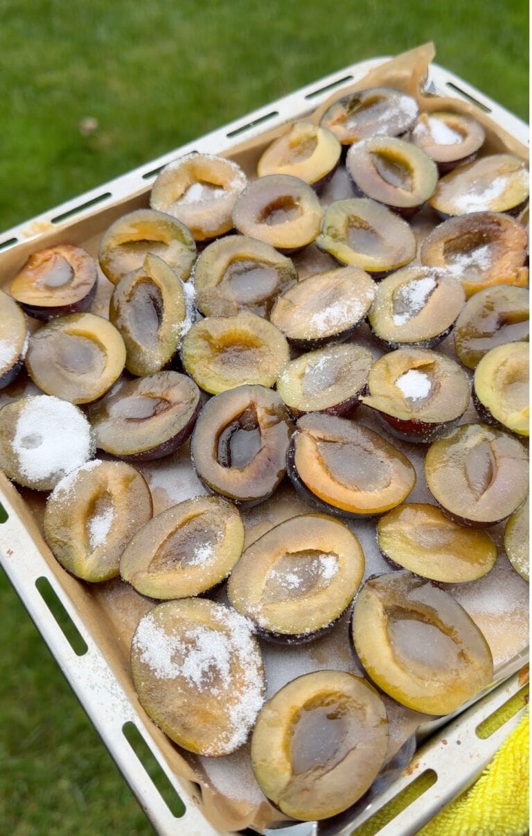 Italian prune plum halves cut side up on a parchment-lined tray, sprinkled with sugar before roasting