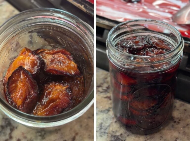 Roasted plum halves packed into a glass canning jar, then the jar filled with dark plum syrup ready for the water bath