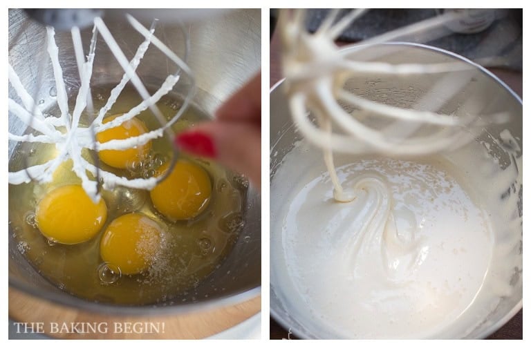 Chocolate sponge cake step: eggs in the mixer bowl, then whipped with sugar until pale and thick, falling from the whip in a ribbon