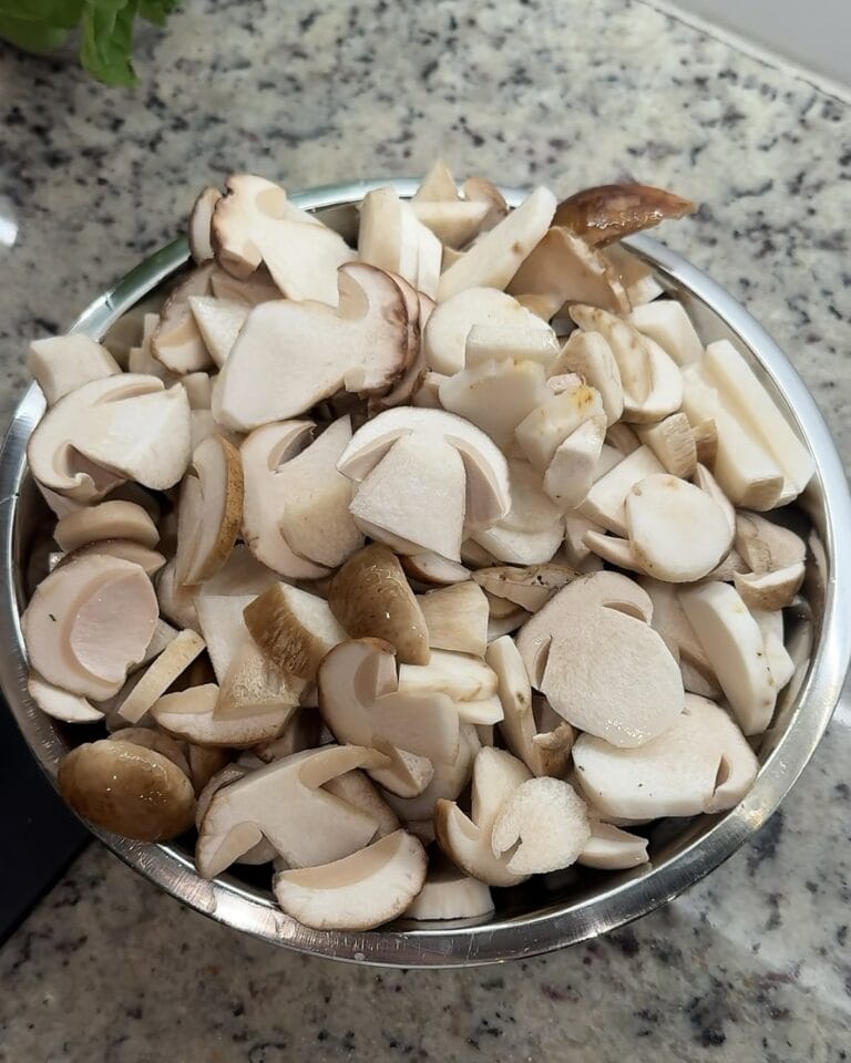 Bowl of chopped porcini mushrooms for mushroom soup
