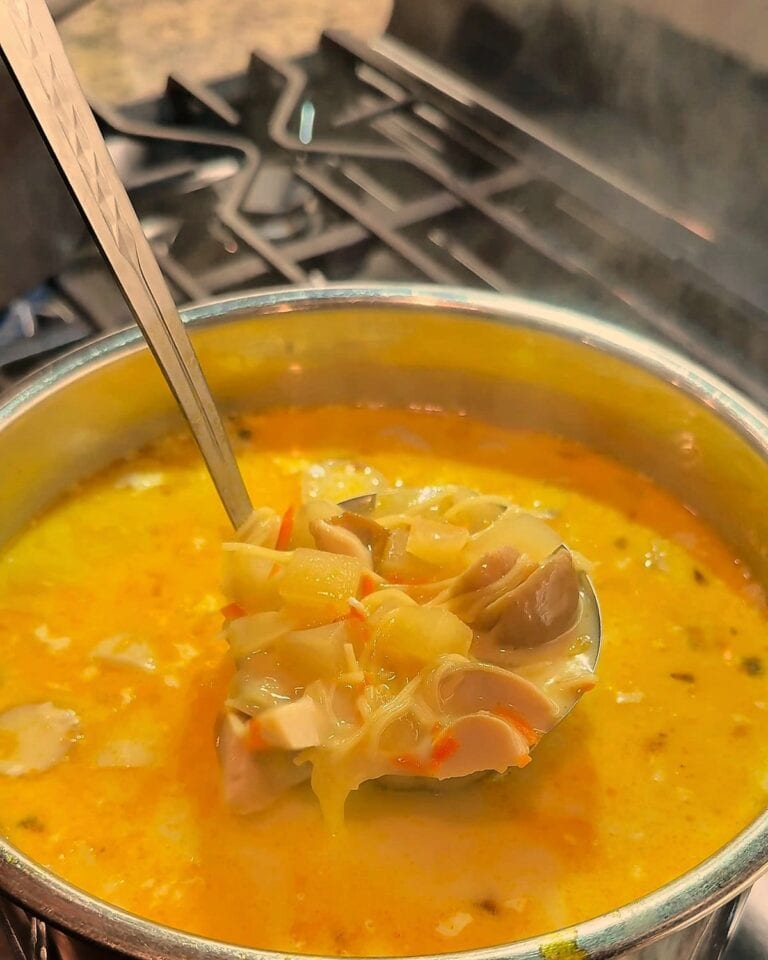 Ladle of mushroom soup with porcini, potatoes and noodles lifted out of the pot