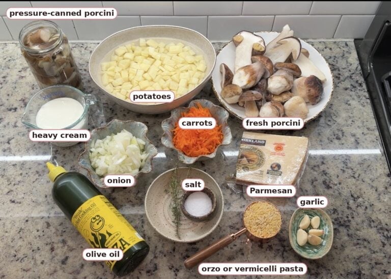 Labeled ingredients for mushroom soup: fresh and pressure-canned porcini, potatoes, heavy cream, onion, carrots, Parmesan, olive oil, salt, orzo or vermicelli pasta and garlic